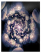 "Black White Fractal Flower in Dark" Metal Wall Art, 3 Panels, 28"x36"