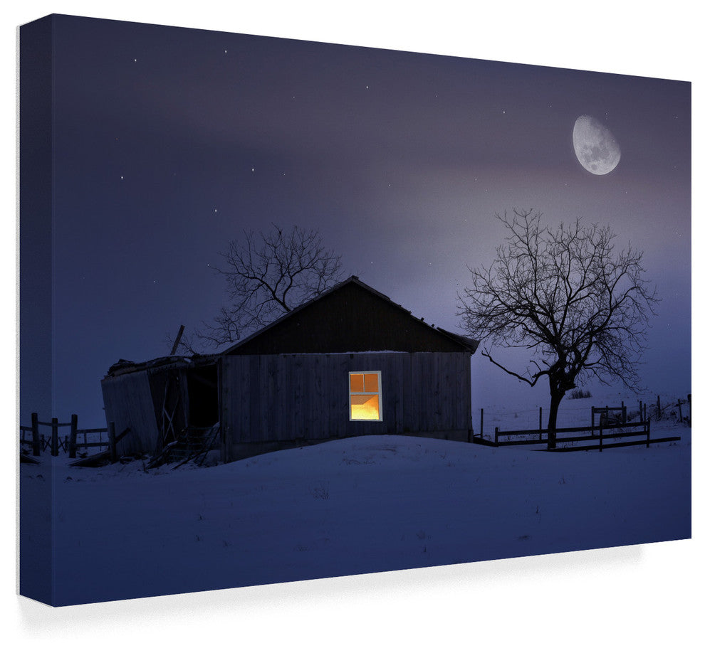 "Winter Night" by Ata Alishahi, Canvas Art, 12"x19"