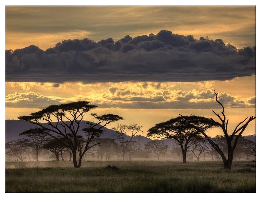 Good Evening Tanzania' Canvas Wall Decor
