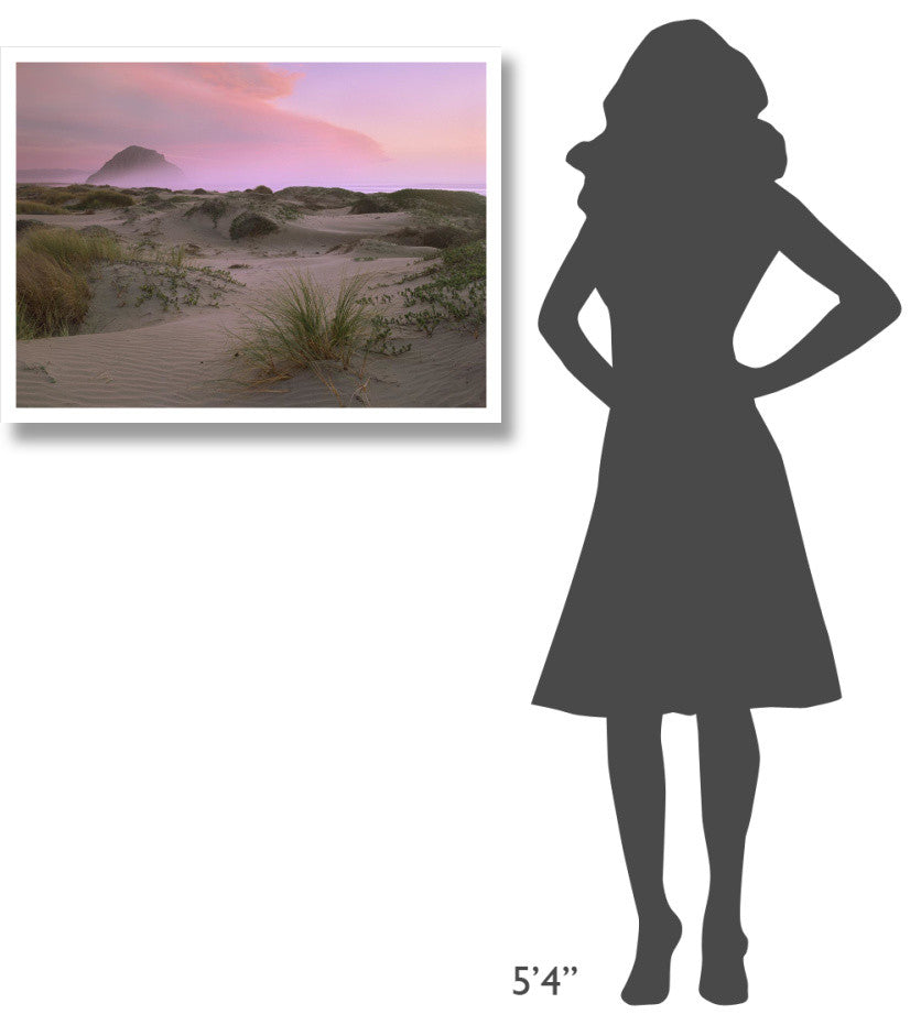 "Morro Rock at Morro Bay, California" Paper Print by Tim Fitzharris, 34"x26"