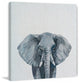 "Gray Elephant" Painting Print on Wrapped Canvas, 32"x32"