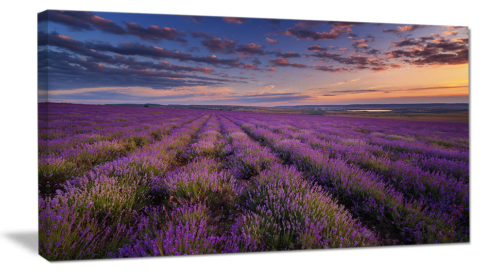 Dark Lavender Field with Cloudy Sky, Floral Canvas Art Print, 32"x16"