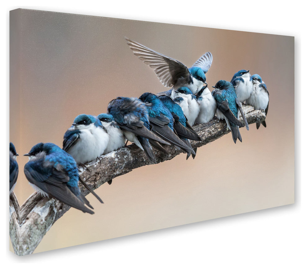 Cheng Chang 'No Room No Problem' Canvas Art, 30x47