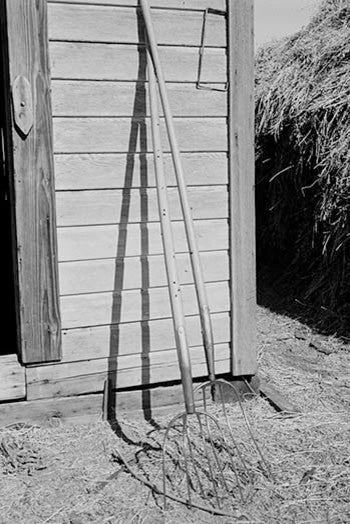 Farming Tools Still Life - Framed Paper Poster 20" x 30"