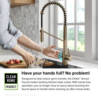 Oletto Touchless Pull-Down 1-Hole Kitchen Faucet