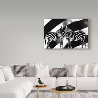 "Zebra" by Ata Alishahi, Canvas Art, 22"x32"