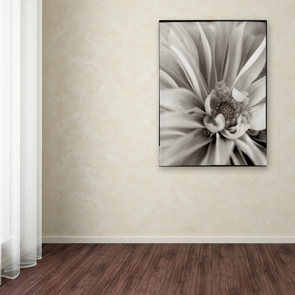 Alan Blaustein ''Florison 21'' Canvas Art, 24x32