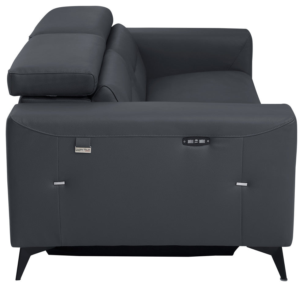 Arezzo Genuine Italian Leather Modern Loveseat, Dark Gray
