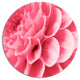 Pink Abstract Flower Petals, Modern Floral Disc Metal Artwork, 11"