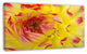 Smooth Yellow Red Petals Close Up, Floral Canvas Art Print, 32"x16"