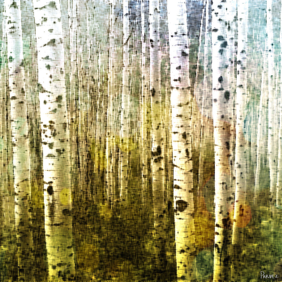 "Aspen Ski" Fine Art Canvas Print, 18"x18"
