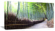 "Kyoto Bamboo Forest Pathway" Forest Canvas Wall Art Print, 40"x20"