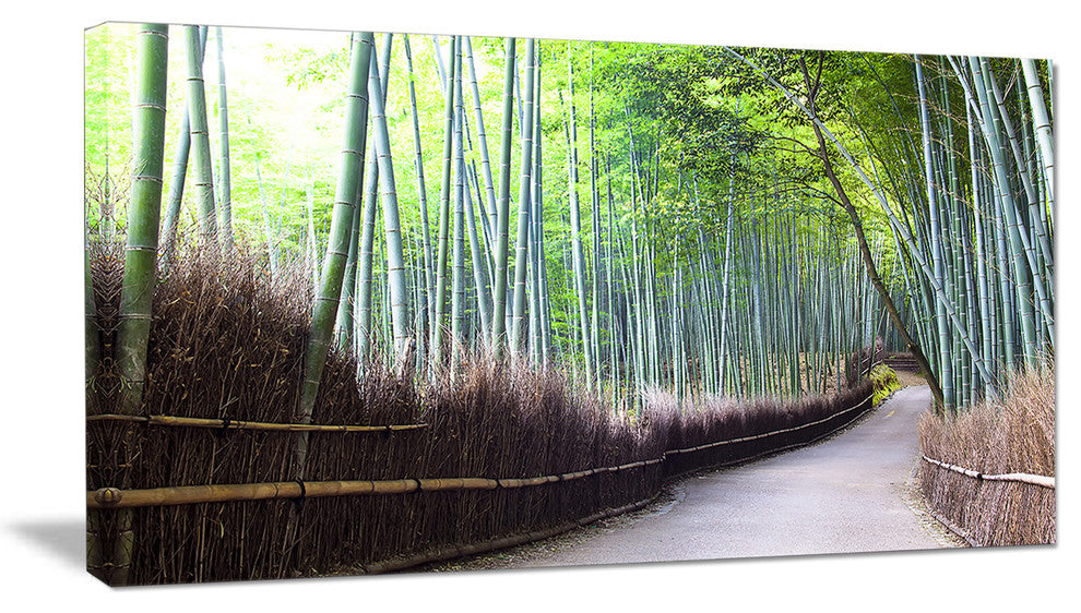 "Kyoto Bamboo Forest Pathway" Forest Canvas Wall Art Print, 40"x20"