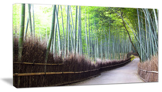"Kyoto Bamboo Forest Pathway" Forest Canvas Wall Art Print, 40"x20"