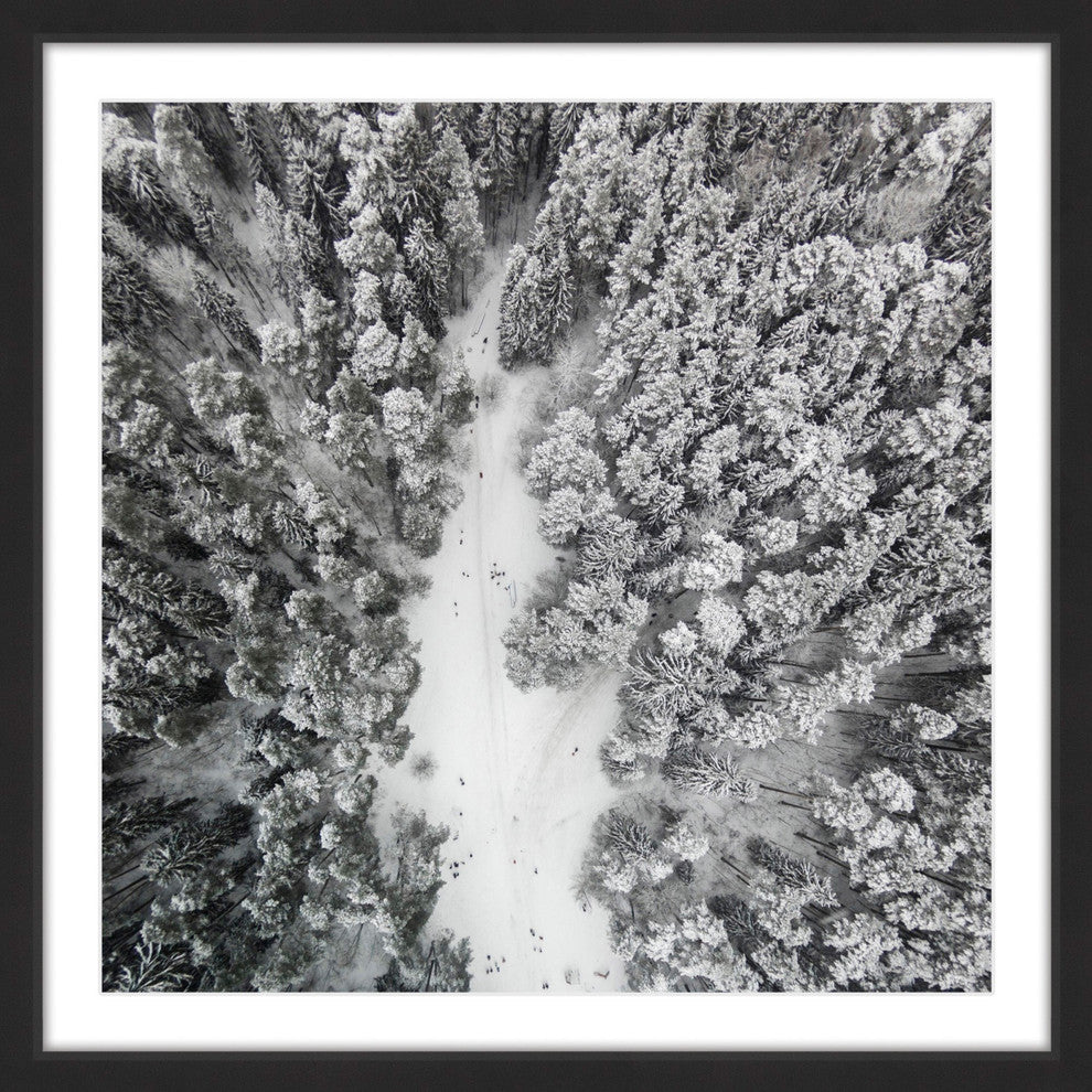 "Path Among Giants" Framed Print by Karolis Janulis