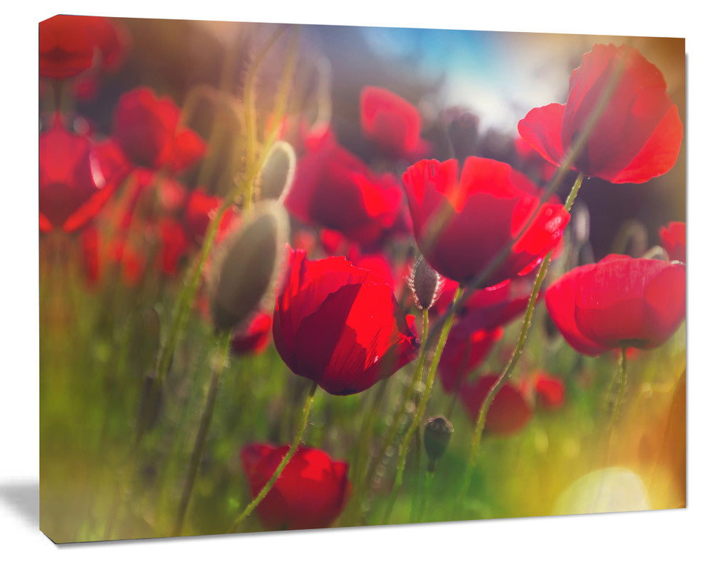 Thick Red Poppy Flowers, Floral Canvas Art Print, 40"x30"