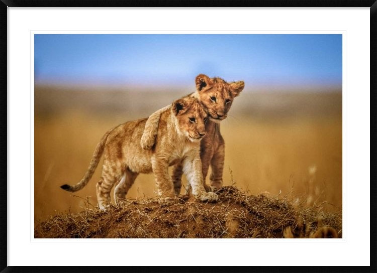 "Brothers For Life" Framed Digital Print by Jeffrey C. Sink, 44x32"