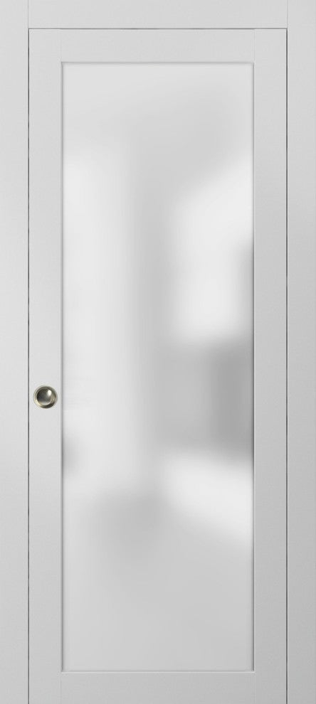 Planum 2102 Interior Sliding Closet Pocket Door 30x96 White Silks Track Pulls