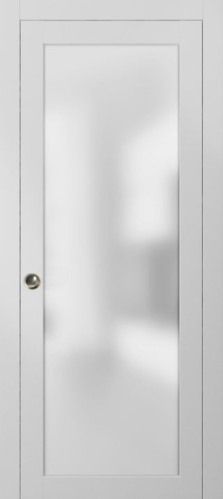 Planum 2102 Interior Sliding Closet Pocket Door 30x96 White Silks Track Pulls