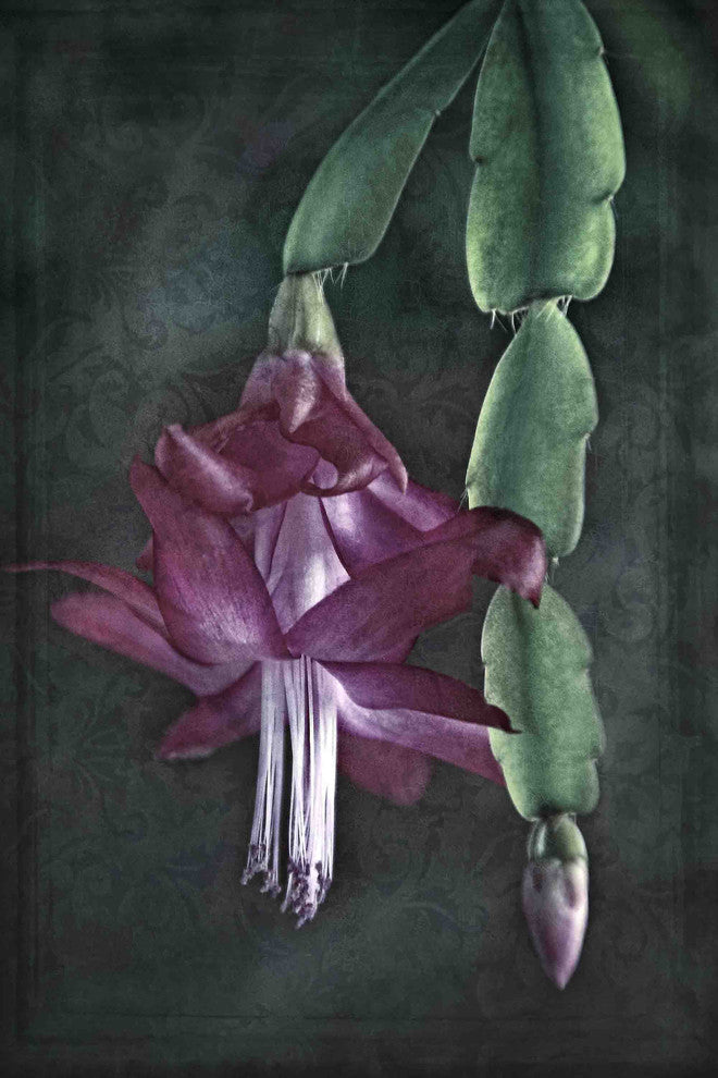 "Gentle Reminders" Painting Print on Canvas by Robertson