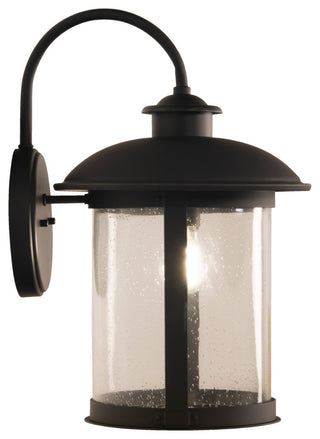 O'Fallon Large 1 Light Outdoor Lantern, Dark Bronze Gilded