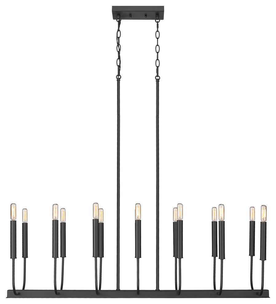 Sophisticated and Modern 14 - Light Black Large Oval Chandelier