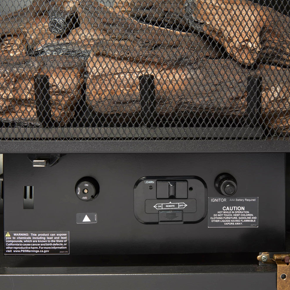 Duluth Forge Dual Fuel Ventless Gas Fireplace Insert - 32,000 BTU, Remote