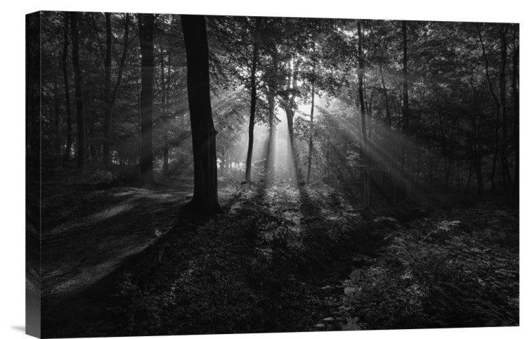 "A Sunny Morning" Stretched Canvas Giclee by Leif Londal, 18x12"
