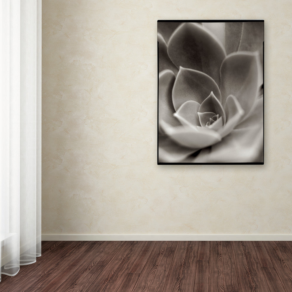 Alan Blaustein ''Florison 25'' Canvas Art, 18x24