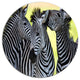 Zebras Socializing And Kissing, African Disc Metal Wall Art, 23"