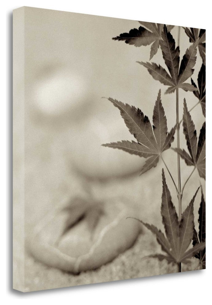 "Florison - 61" By Alan Blaustein, Giclee Print on Gallery Wrap Canvas