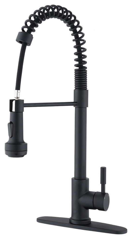 Single Handle Deck Mounted Spring Neck Pull Down Kitchen Faucet with Deckplate,