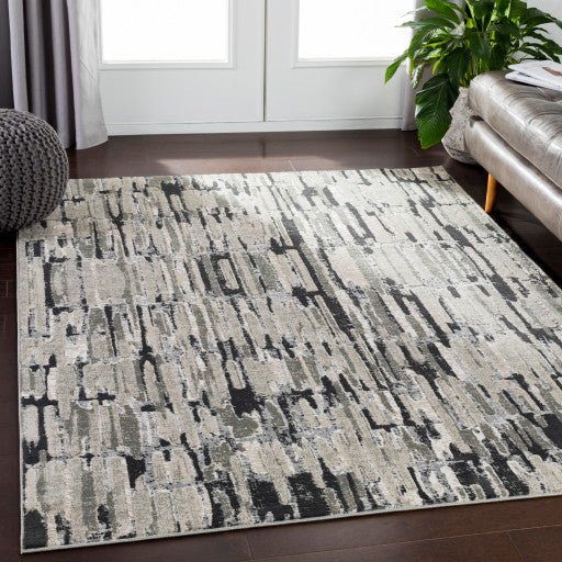 Surya Soleil SOI-2303 7'10"x10'6" Rug, Medium Gray/Taupe/Camel/Cream/White