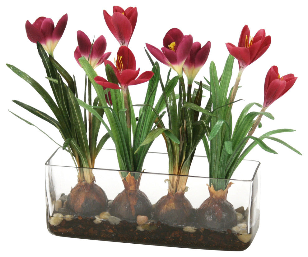 WaterlookÂ® Crocus in Glass with Bark