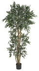 6' Green Ash Silk Tree