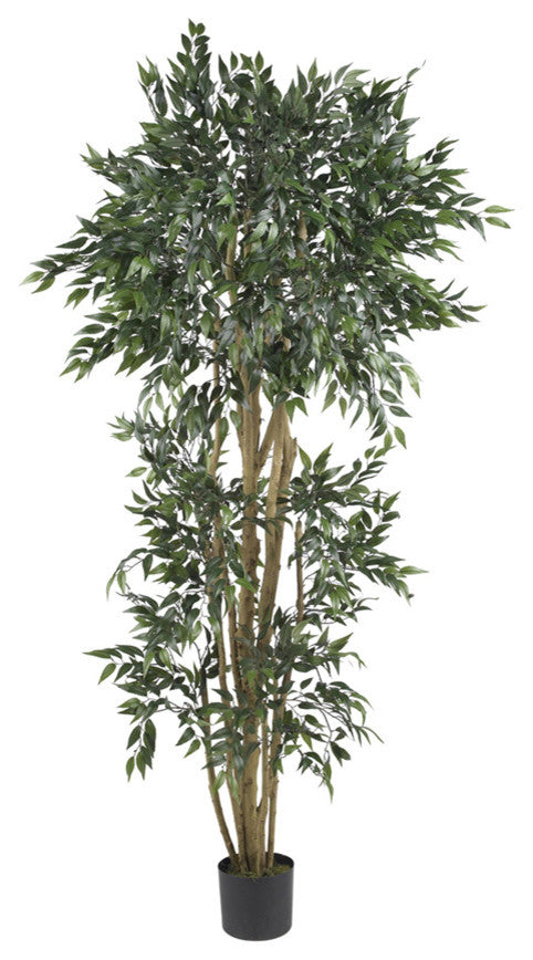 6' Green Ash Silk Tree