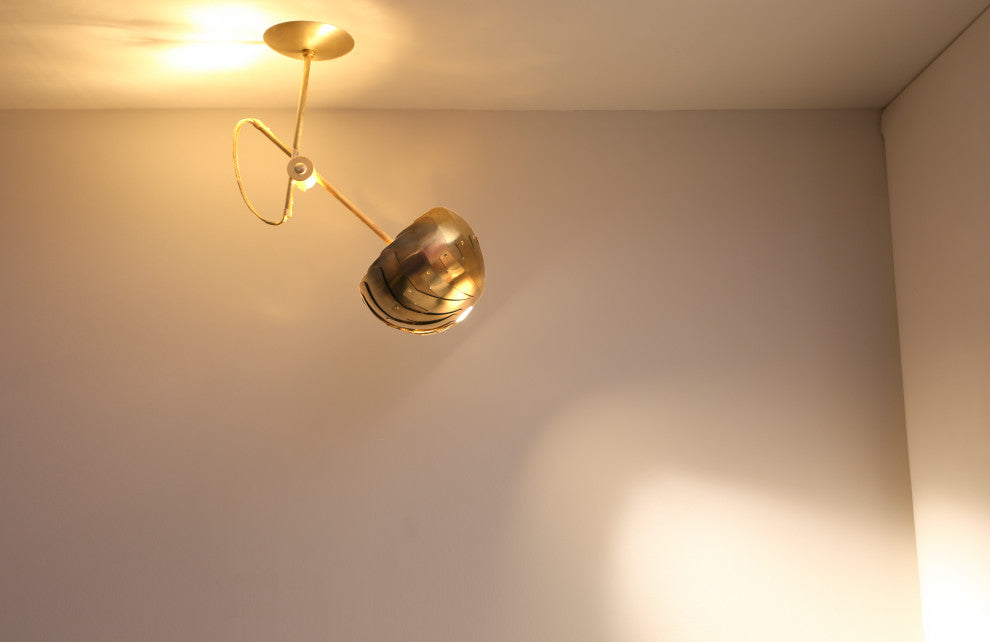IRIS SPOT : Brass ceiling Light | Contemporary Lighting | Modern Pendant Lamp