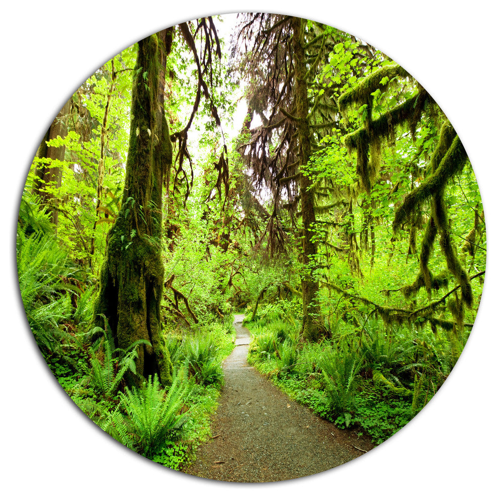 Footpath In Redwood Rain Forest, Landscape Disc Metal Artwork, 36"