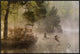 "Goose Fight" Framed Canvas Giclee by Anton Van Dongen, 37x25"