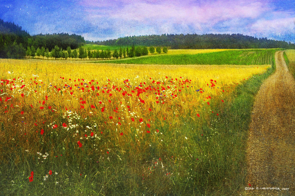 "Barley and Poppies" Painting Print on Canvas by Chris Vest