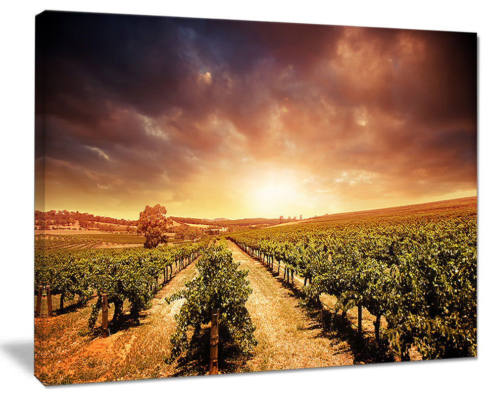 "Vineyard With Stormy Sunset" Wall Art Landscape, 20"x12"