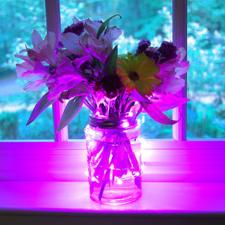 Battery Operated Waterproof Mini String 40-Light, Set of 2, Pink