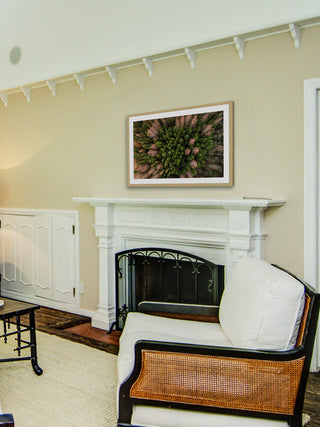 "Feather Trees" Framed Print by Karolis Janulis