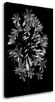 "Floral B - W - 28" By Alan Blaustein, Giclee Print on Gallery Wrap Canvas