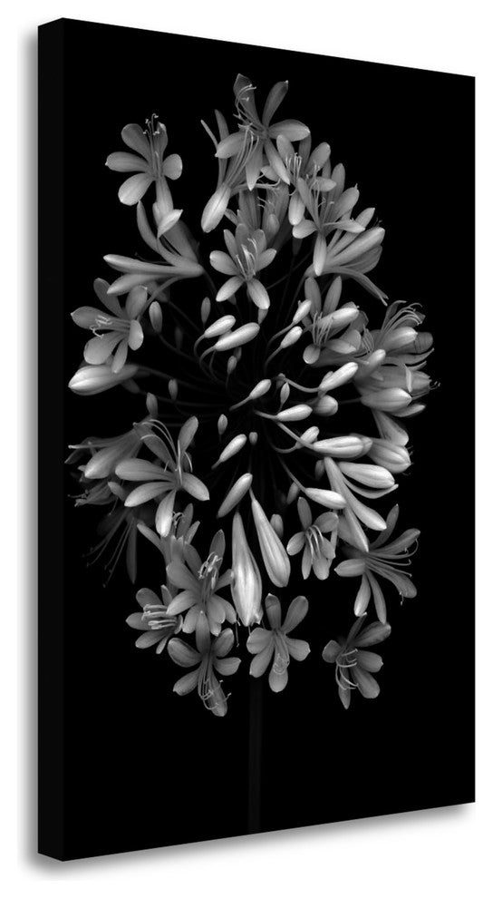 "Floral B - W - 28" By Alan Blaustein, Giclee Print on Gallery Wrap Canvas