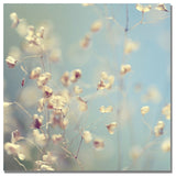 'Little Secrets' Canvas Art by Beata Czyzowska Young