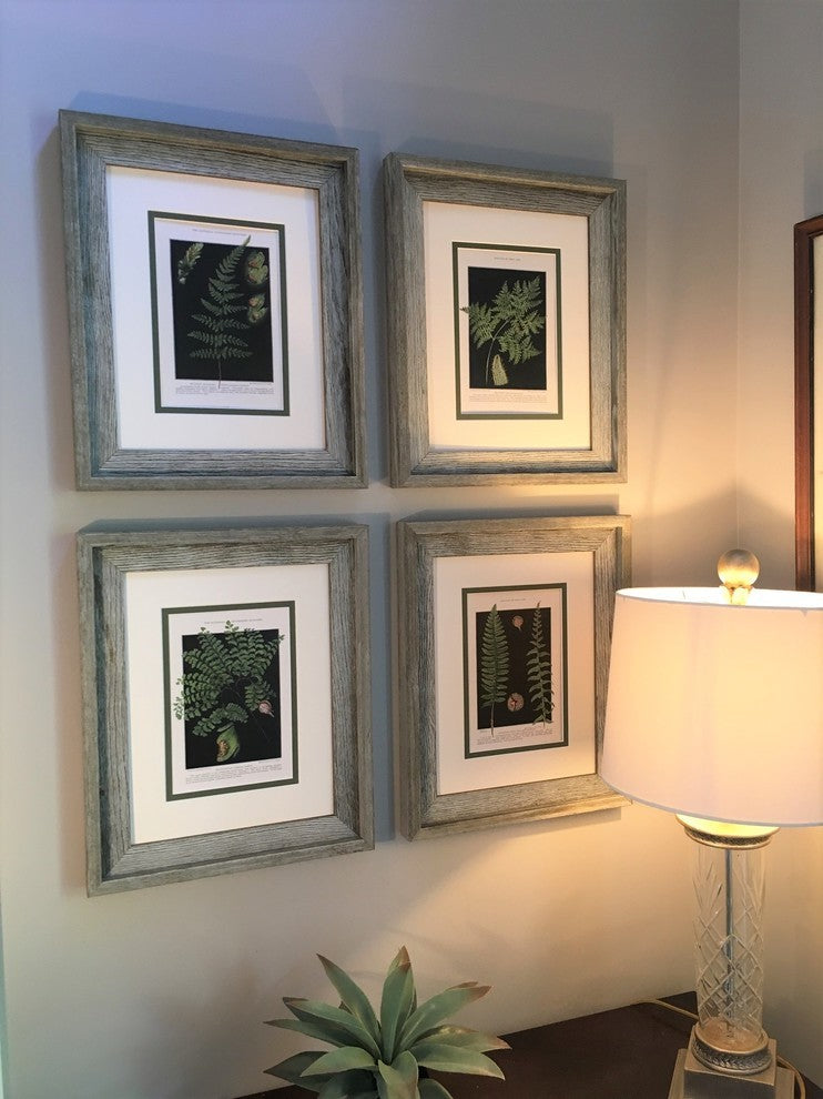 Original Vintage 1925 Botanical Fern Framed Prints, Set of 2