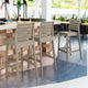 Compamia Ares Resin Barstool Taupe, Set of 2
