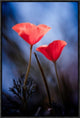 "Desire" Framed Canvas Giclee by Fabien Bravin, 16x23"