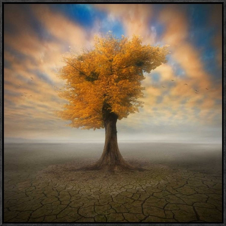 "Lonesome" Framed Canvas Giclee by Piotr (Bax) Krol, 23x23"